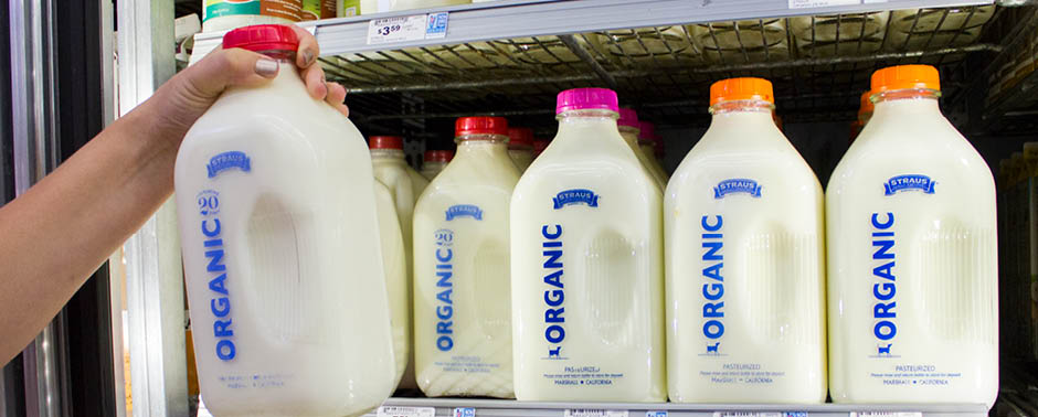 Dairy